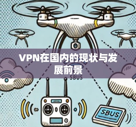 VPN在国内的现状与发展前景