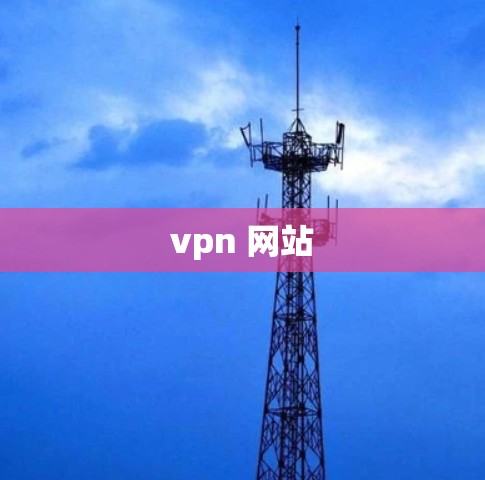 vpn 网站