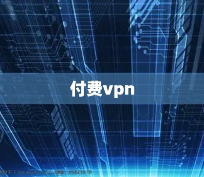 付费vpn